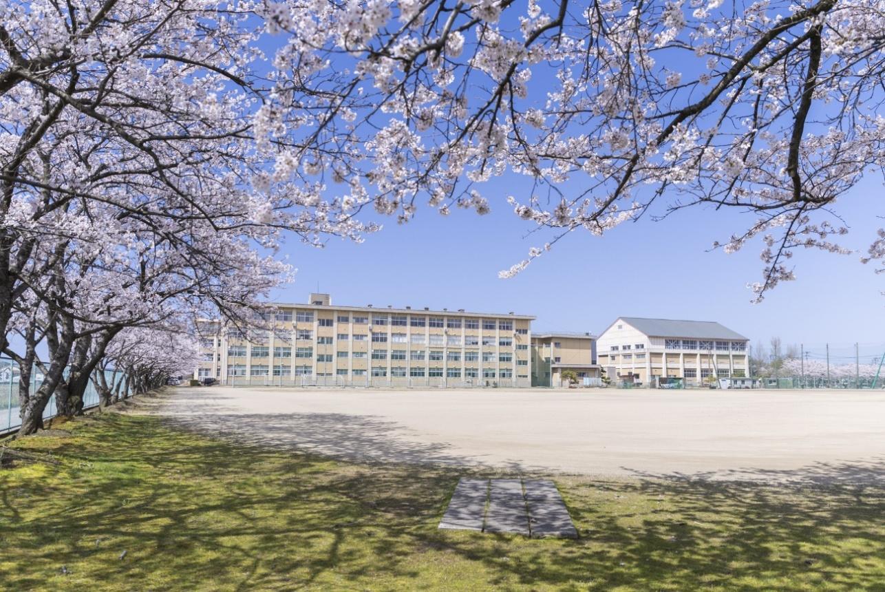 新潟県立碧高等学校（新潟北高等学校）全景と桜